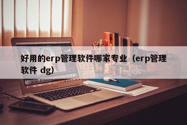 好用的erp管理软件哪家专业（erp管理软件 dg）