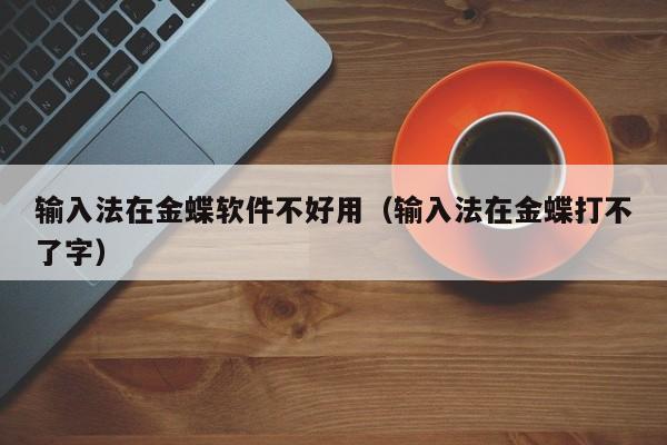 输入法在金蝶软件不好用（输入法在金蝶打不了字）