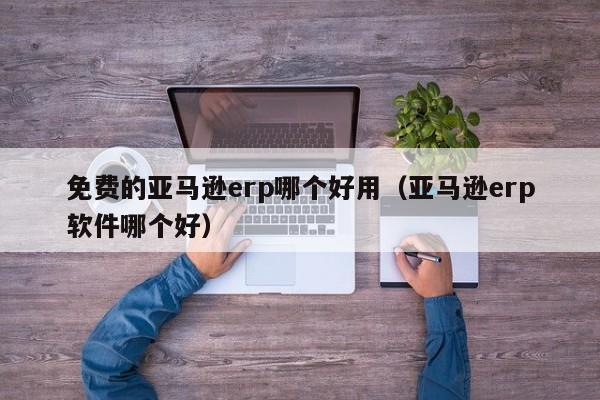 免费的亚马逊erp哪个好用（亚马逊erp软件哪个好）