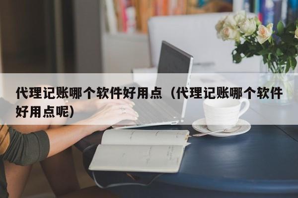 代理记账哪个软件好用点（代理记账哪个软件好用点呢）