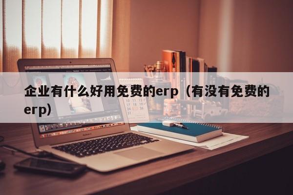 企业有什么好用免费的erp（有没有免费的erp）