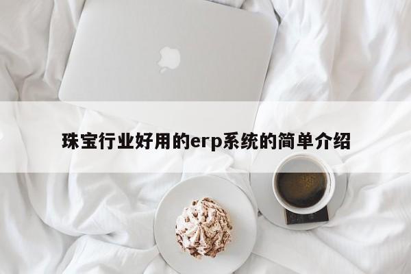 珠宝行业好用的erp系统的简单介绍