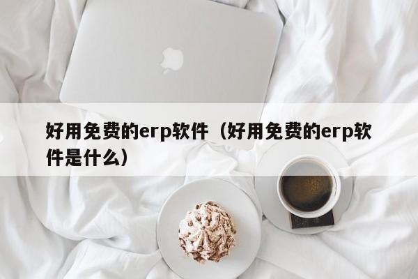 好用免费的erp软件（好用免费的erp软件是什么）