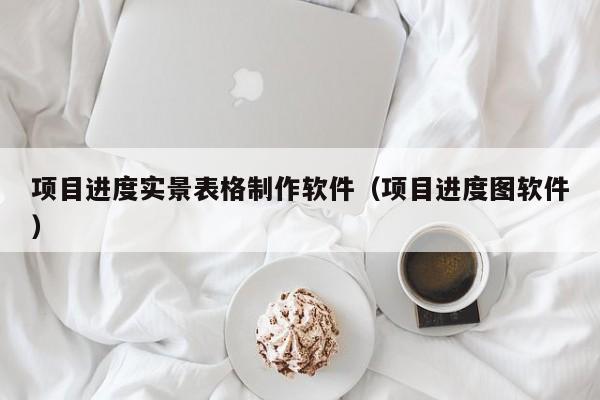 项目进度实景表格制作软件（项目进度图软件）