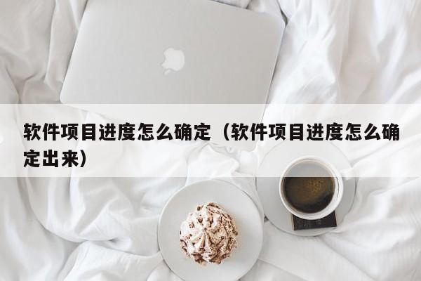 软件项目进度怎么确定（软件项目进度怎么确定出来）