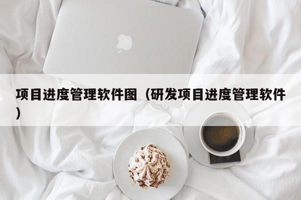 项目进度管理软件图（研发项目进度管理软件）