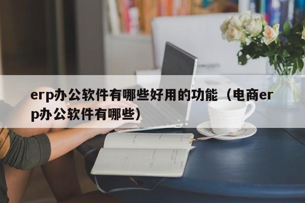 erp办公软件有哪些好用的功能（电商erp办公软件有哪些）