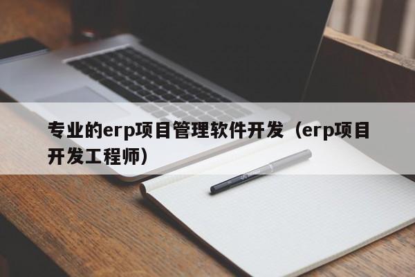 专业的erp项目管理软件开发（erp项目开发工程师）