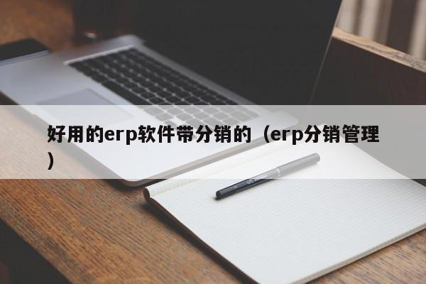 好用的erp软件带分销的（erp分销管理）