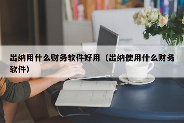 出纳用什么财务软件好用（出纳使用什么财务软件）