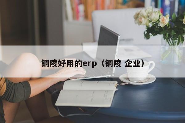 铜陵好用的erp（铜陵 企业）