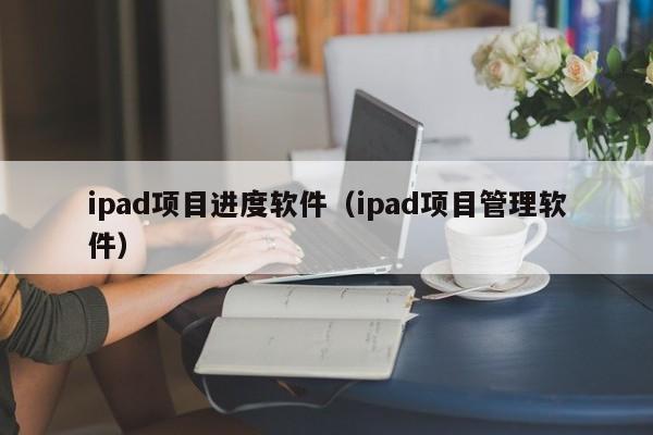 ipad项目进度软件（ipad项目管理软件）