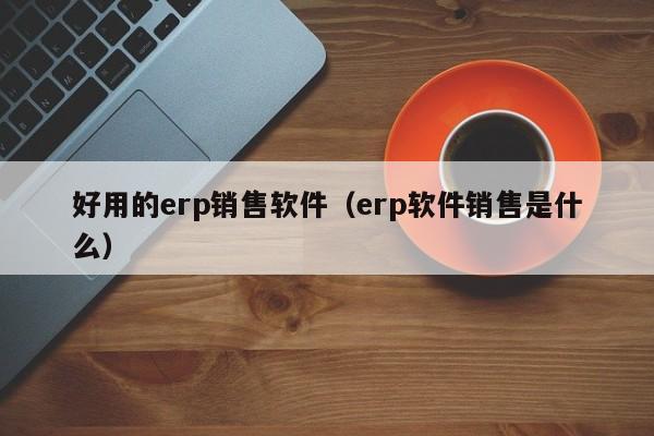 好用的erp销售软件（erp软件销售是什么）