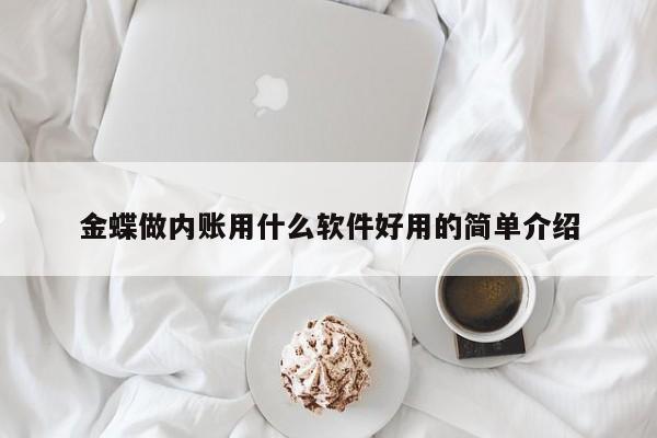 金蝶做内账用什么软件好用的简单介绍