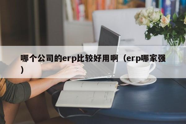 哪个公司的erp比较好用啊（erp哪家强）