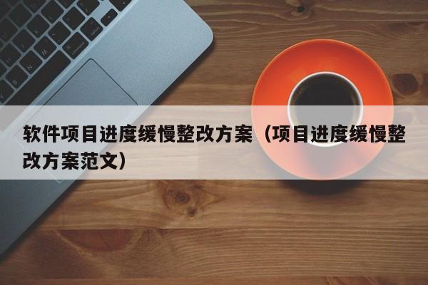 软件项目进度缓慢整改方案（项目进度缓慢整改方案范文）