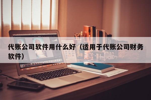 代账公司软件用什么好（适用于代账公司财务软件）