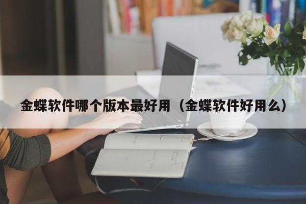 金蝶软件哪个版本最好用（金蝶软件好用么）