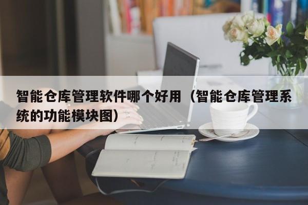 智能仓库管理软件哪个好用（智能仓库管理系统的功能模块图）