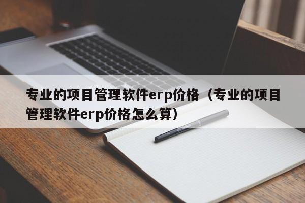 专业的项目管理软件erp价格（专业的项目管理软件erp价格怎么算）