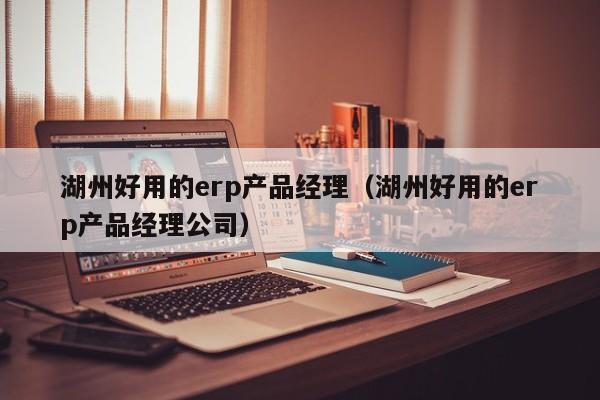 湖州好用的erp产品经理（湖州好用的erp产品经理公司）