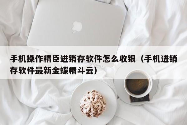 手机操作精臣进销存软件怎么收银（手机进销存软件最新金蝶精斗云）