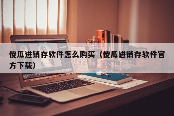 傻瓜进销存软件怎么购买（傻瓜进销存软件官方下载）