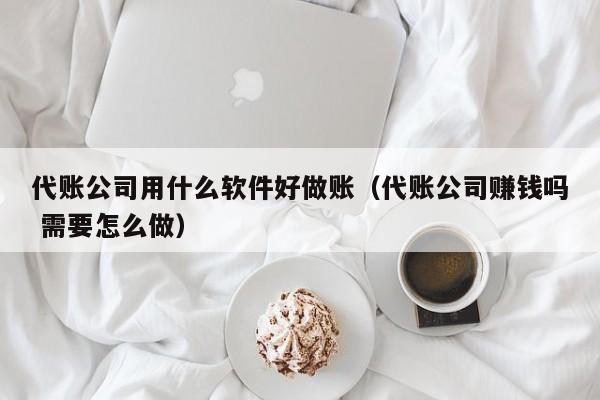 代账公司用什么软件好做账（代账公司赚钱吗 需要怎么做）