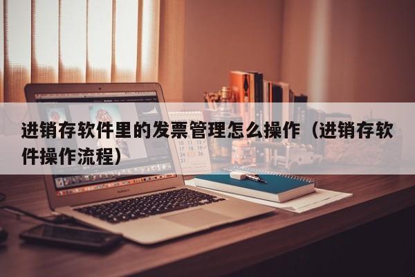 进销存软件里的发票管理怎么操作（进销存软件操作流程）