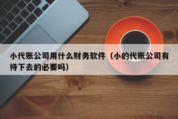 小代账公司用什么财务软件（小的代账公司有待下去的必要吗）