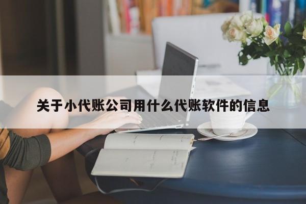 关于小代账公司用什么代账软件的信息