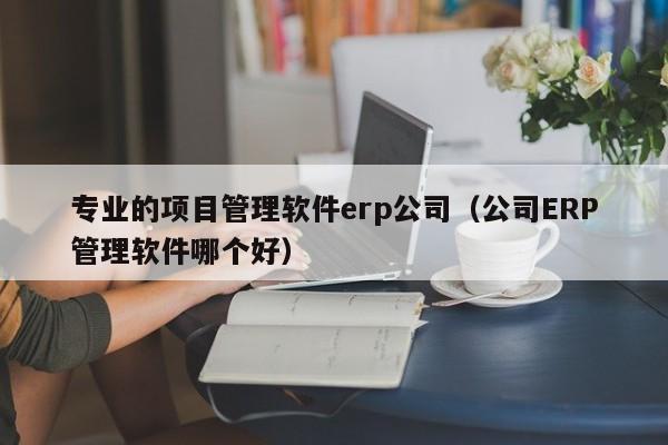 专业的项目管理软件erp公司（公司ERP管理软件哪个好）