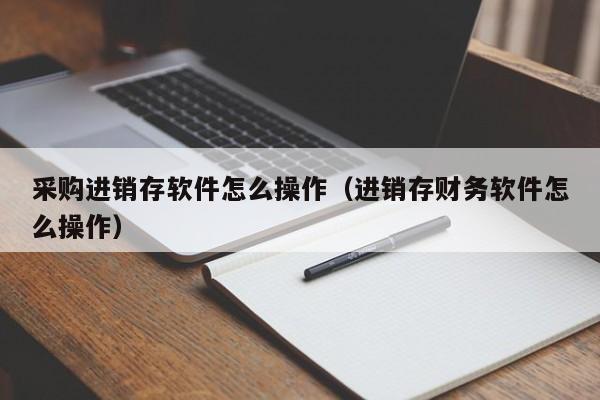 采购进销存软件怎么操作（进销存财务软件怎么操作）