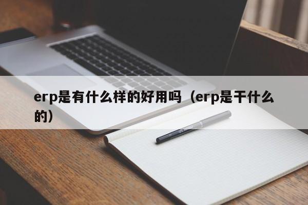 erp是有什么样的好用吗（erp是干什么的）