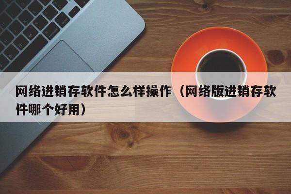 网络进销存软件怎么样操作（网络版进销存软件哪个好用）