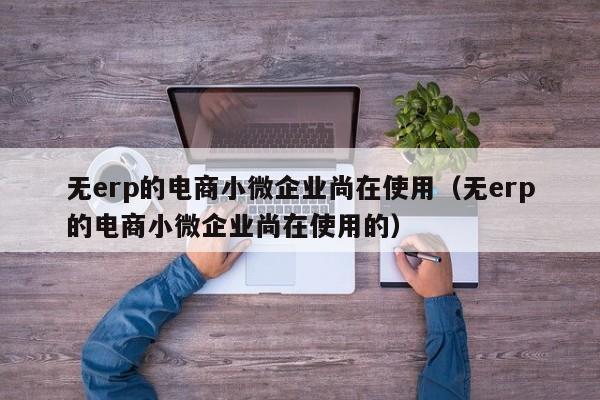 无erp的电商小微企业尚在使用（无erp的电商小微企业尚在使用的）