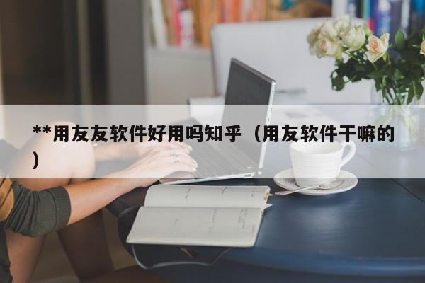 **用友友软件好用吗知乎（用友软件干嘛的）