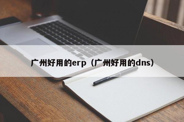 广州好用的erp（广州好用的dns）