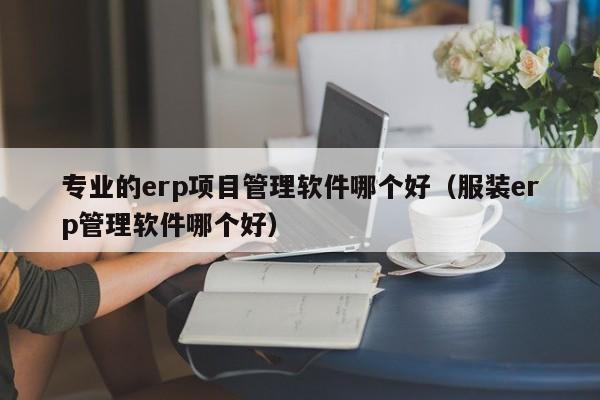 专业的erp项目管理软件哪个好（服装erp管理软件哪个好）