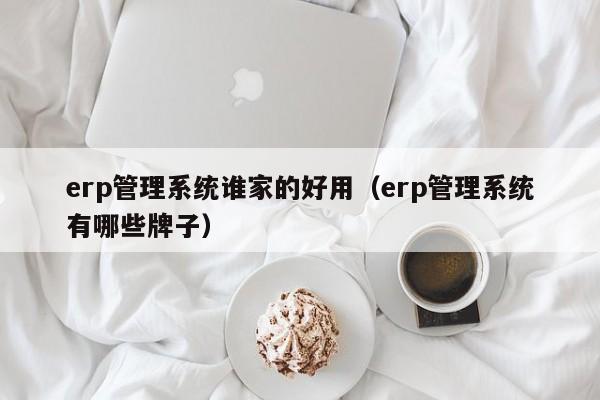 erp管理系统谁家的好用（erp管理系统有哪些牌子）