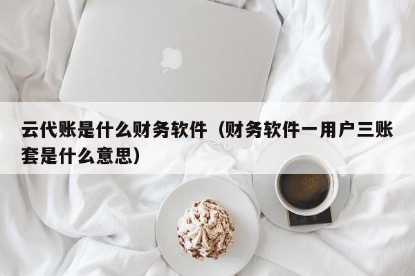 云代账是什么财务软件（财务软件一用户三账套是什么意思）