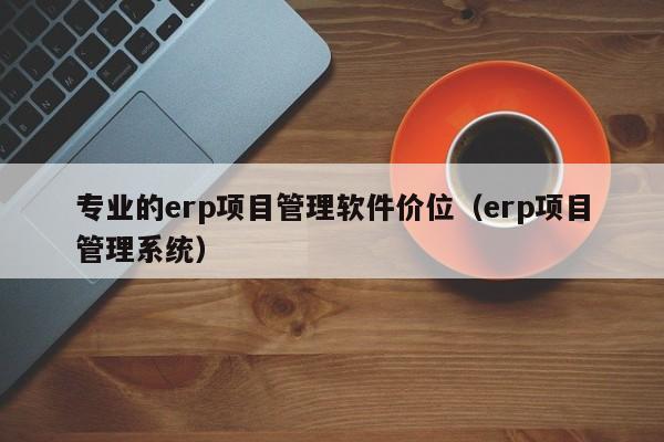 专业的erp项目管理软件价位（erp项目管理系统）