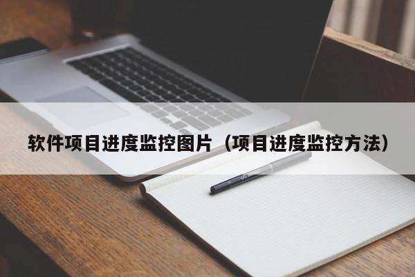 软件项目进度监控图片（项目进度监控方法）