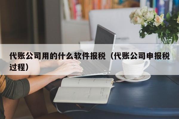 代账公司用的什么软件报税（代账公司申报税过程）