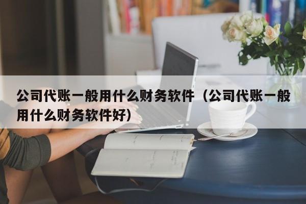 公司代账一般用什么财务软件（公司代账一般用什么财务软件好）