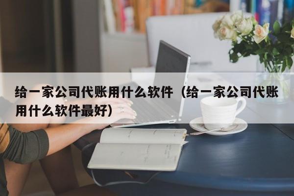 给一家公司代账用什么软件（给一家公司代账用什么软件最好）