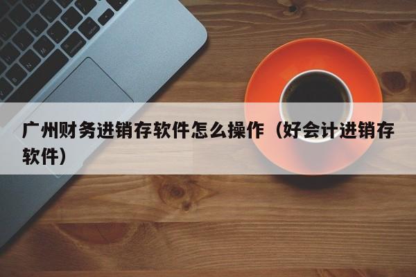 广州财务进销存软件怎么操作（好会计进销存软件）