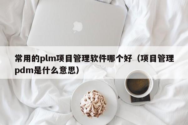 常用的plm项目管理软件哪个好（项目管理pdm是什么意思）