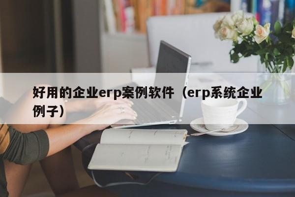 好用的企业erp案例软件（erp系统企业例子）