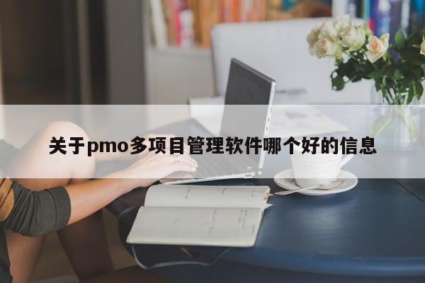 关于pmo多项目管理软件哪个好的信息